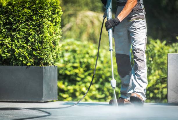 Animal Enclosure Cleaning in Windsor Heights, IA