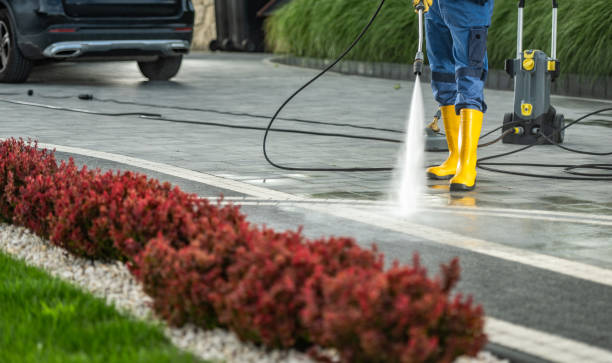 Best Fence Cleaning  in Windsor Heights, IA