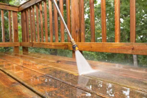 Best Driveway Pressure Washing  in Windsor Heights, IA